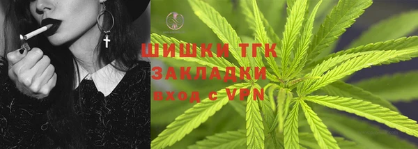 гидра Аркадак