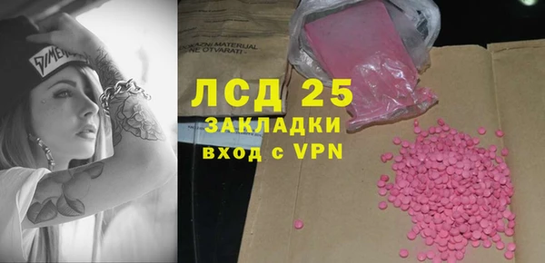 индика Балабаново