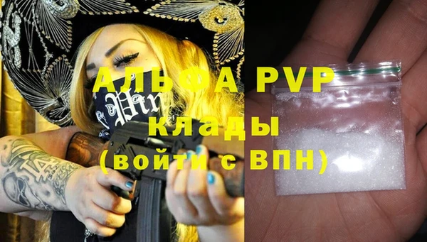 индика Балабаново
