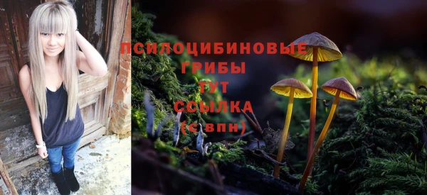 индика Балабаново