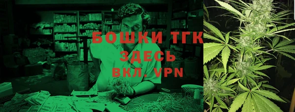 крисы Слюдянка