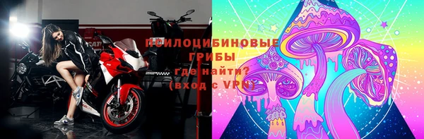индика Балабаново